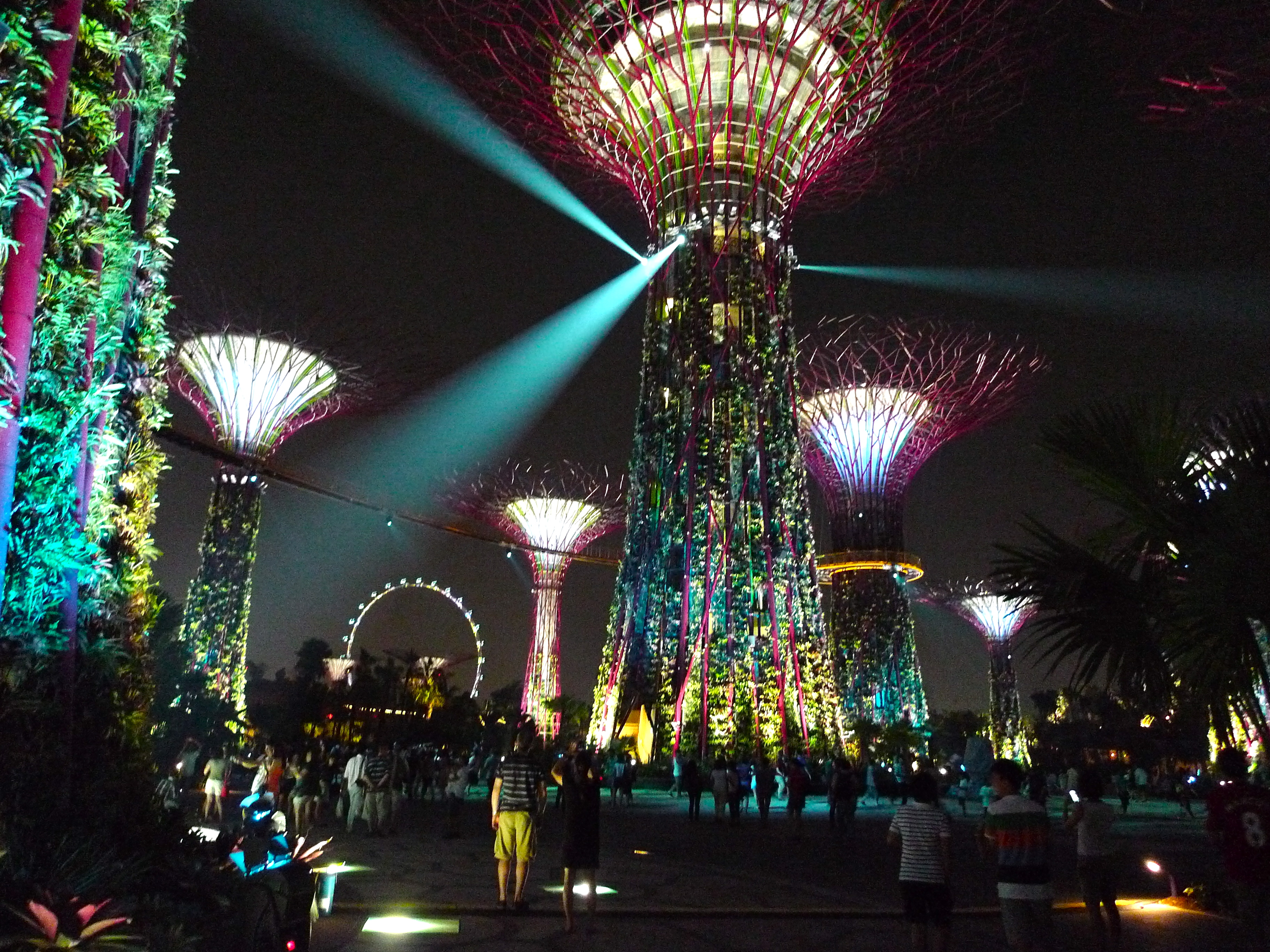 Garden By The Bay Night Garden By The Bay Night