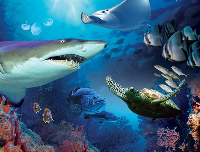 AquariaKLCC 650x497