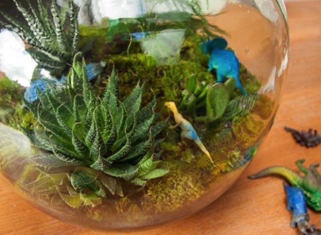 Dinosaur jungle terrarium
