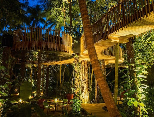 Dinner in a treehouse: PER AQUUM's Nest restaurant.