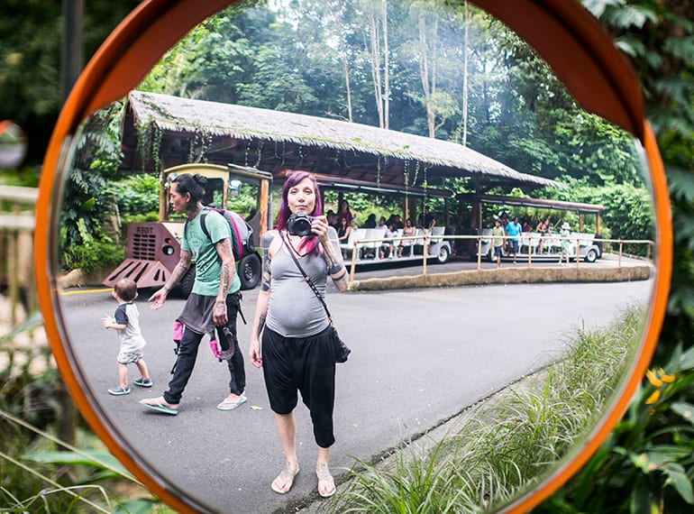 Family Spending the day at the Singapore zoo