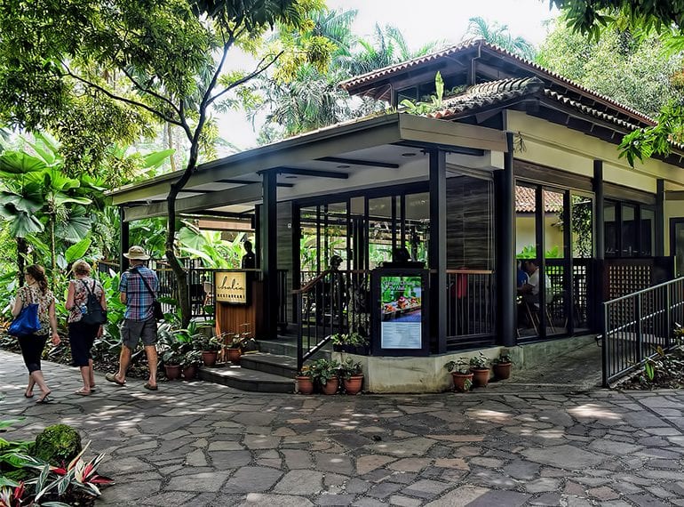 HoneyKids Asia Halia Botanic Gardens guide