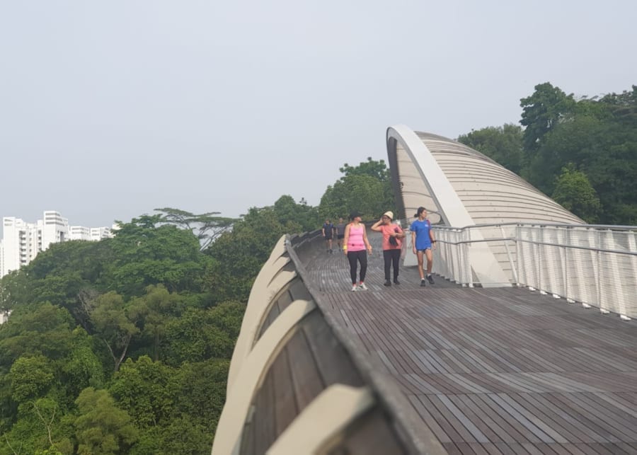 henderson waves