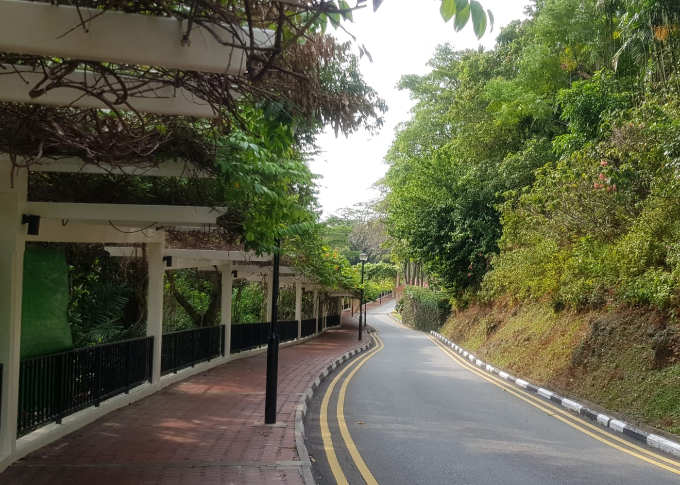 mount faber loop southern ridges walk
