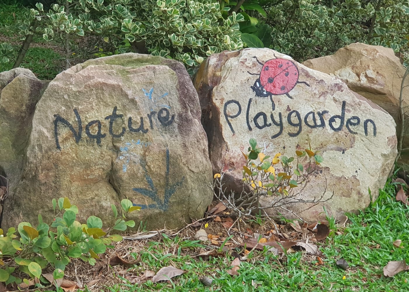 nature playground hort park