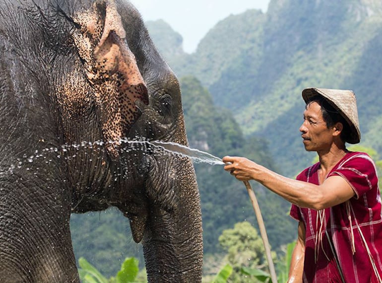Elephant Hills thailand Honeykids Asia Singapore