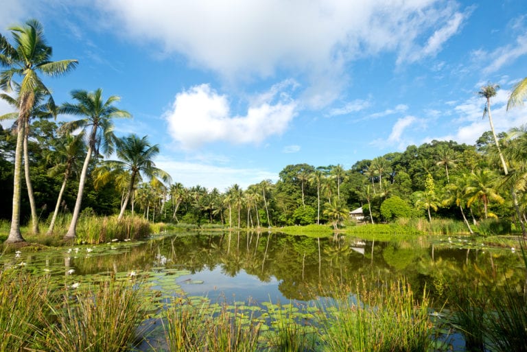 Outdoor activities in Singapore: Explore Pulau Ubin with the kids at Pesta Ubin 2019