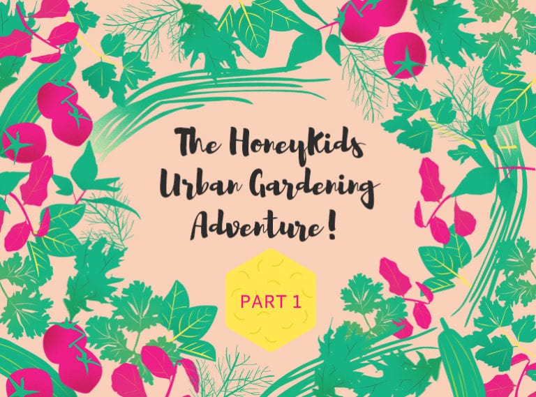 Gardening in Singapore: The HoneyKids Urban Gardening Adventure with Aerospring