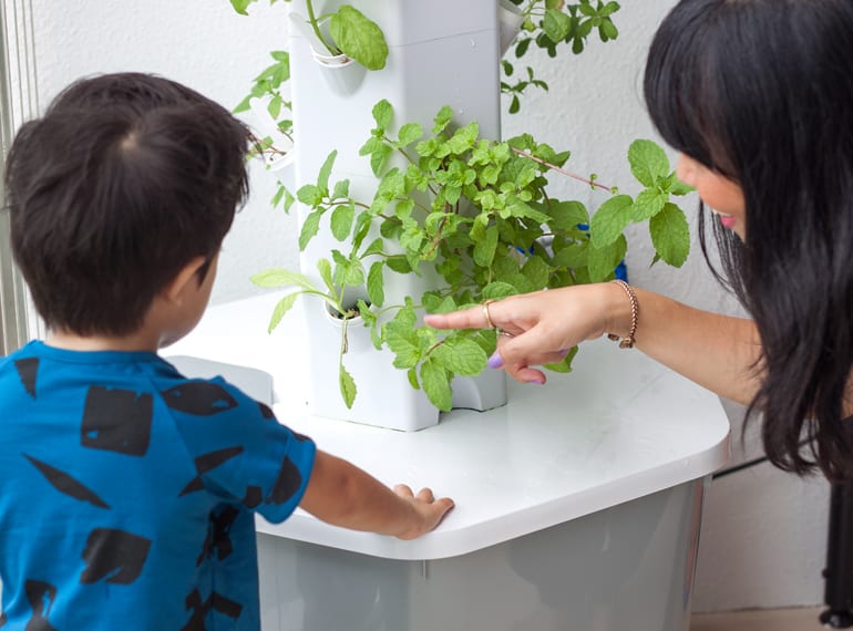 Urban gardening in Singapore: 5 reasons why we should teach city kids about gardening and growing food
