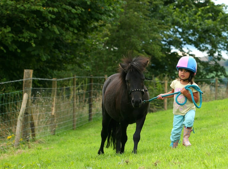 Horse riding in Singapore