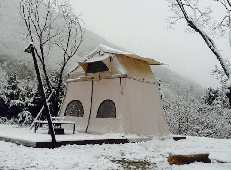 Snowping Raventree South Kore Honeykids Asia Singapore