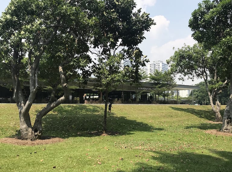 Parkland-Green-greenery