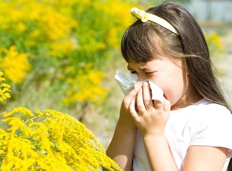 Honeykids Asia pacific prime allergies