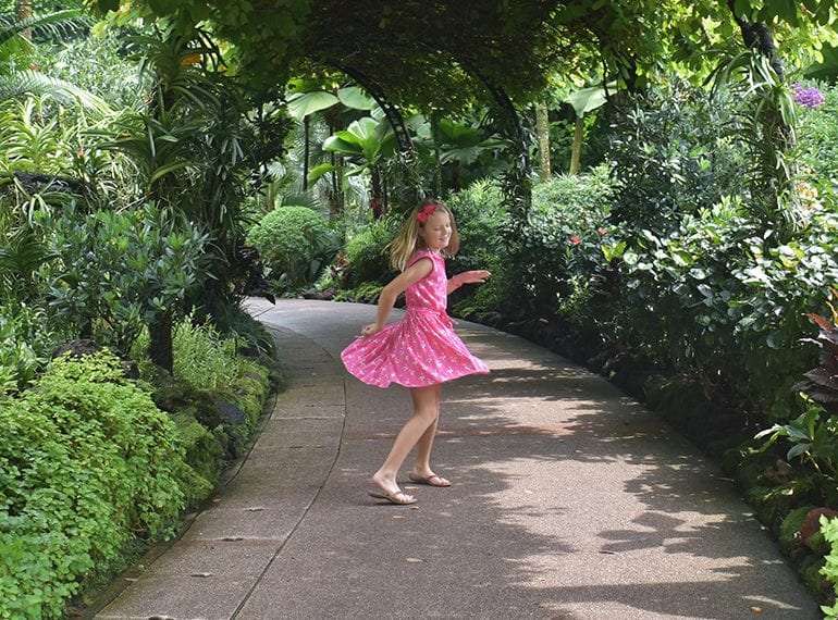 Guide to the Best Family Day in the Singapore Botanic Gardens