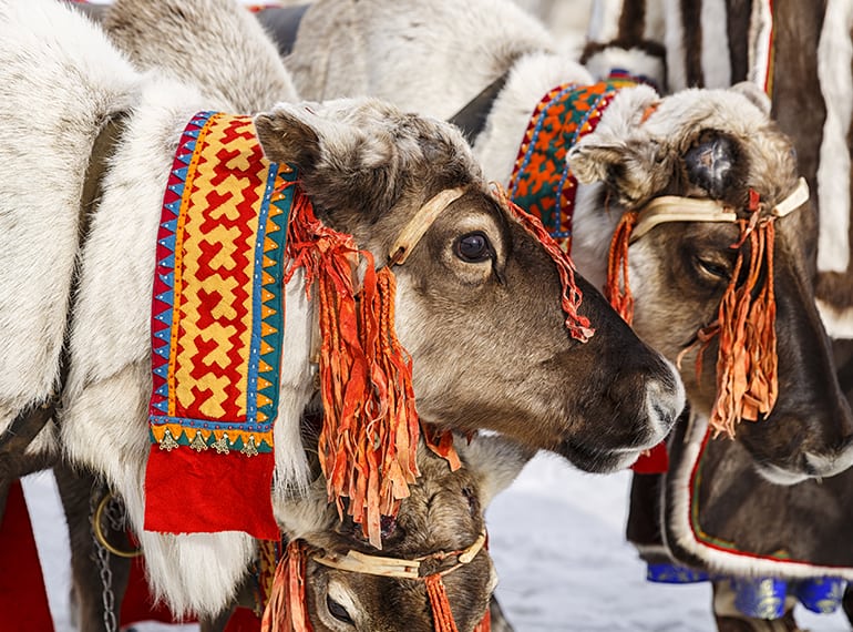 Christmas vacation ideas around the world from Singapore