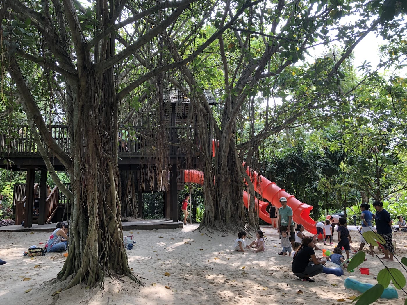 singapore botanic gardens with kids play area