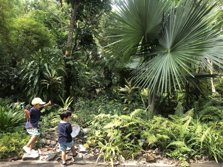 Guide to the best day out with kids in the Singapore Botanic Gardens