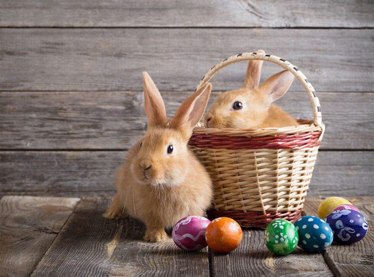 10 fun facts about Easter you never knew: we talk bunnies, bonnets and buns!