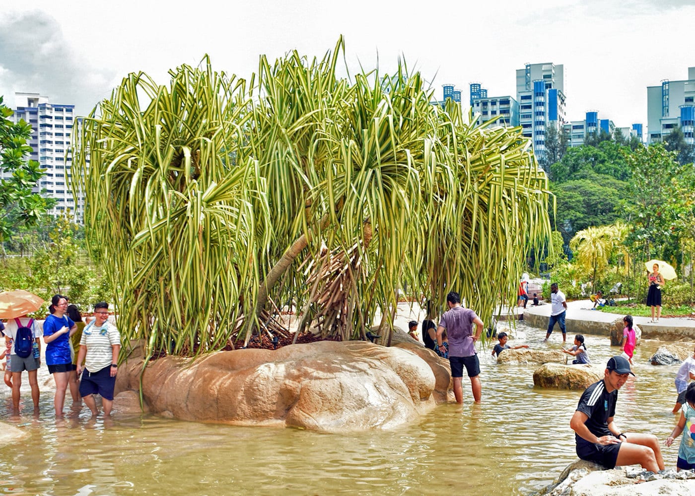 Lakeside Garden