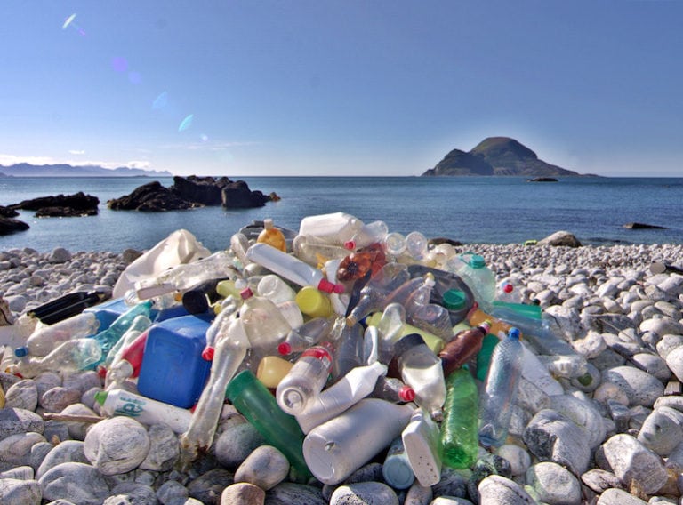 The shocking statistics of plastic waste and what we can do to help in Singapore