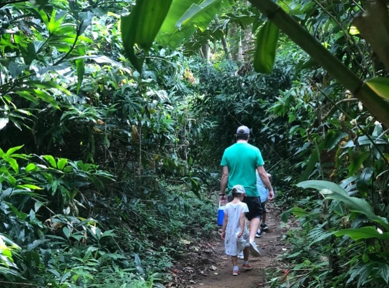 Go hiking in Singapore with our guide to the best trails for kids
