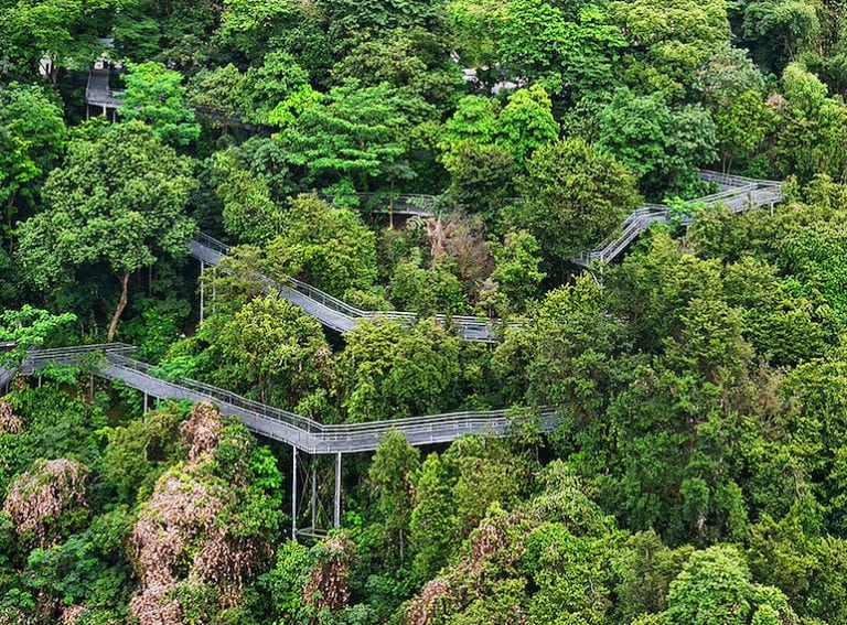An easy guide to Singapore’s Park Connector Network and why you’ll love it!