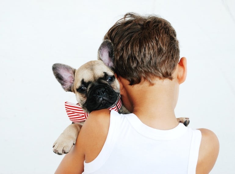 Animal Assisted Therapy: Where to find therapy animals for kids in Singapore