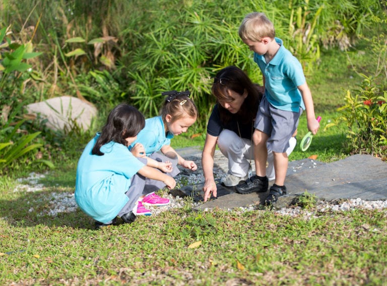 International schools in Singapore with eco-friendly ethics and green spaces