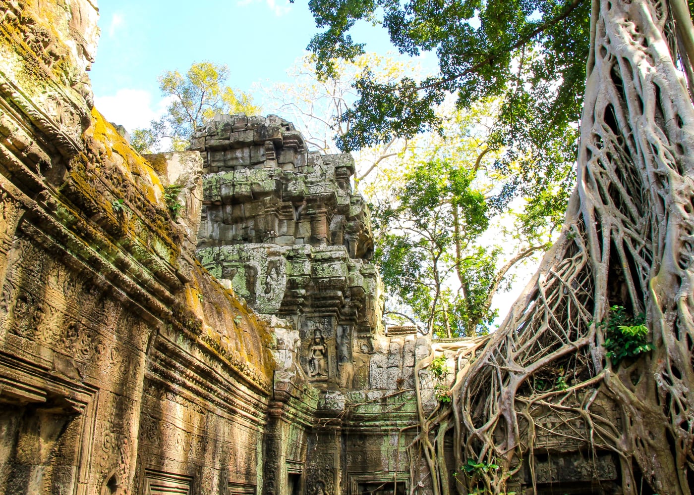 weather by month asia cambodia siem reap