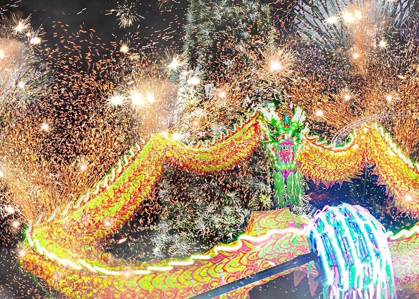 Gardens by the bay | things to do with kids chinese new year