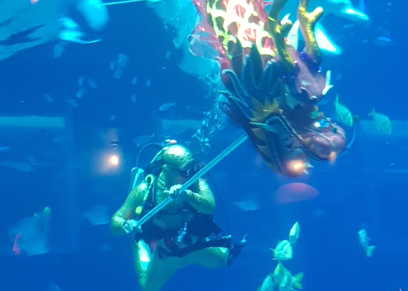 A lion dance with a difference at S.E.A. Aquarium