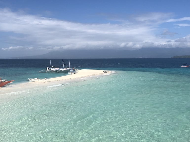 swimming with whale sharks in Oslob