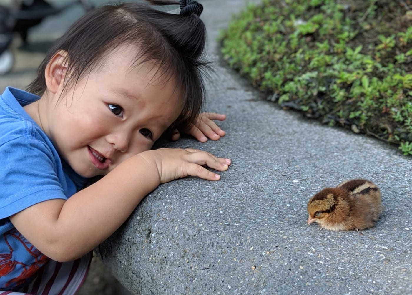 Fun things to do with babies in Singapore