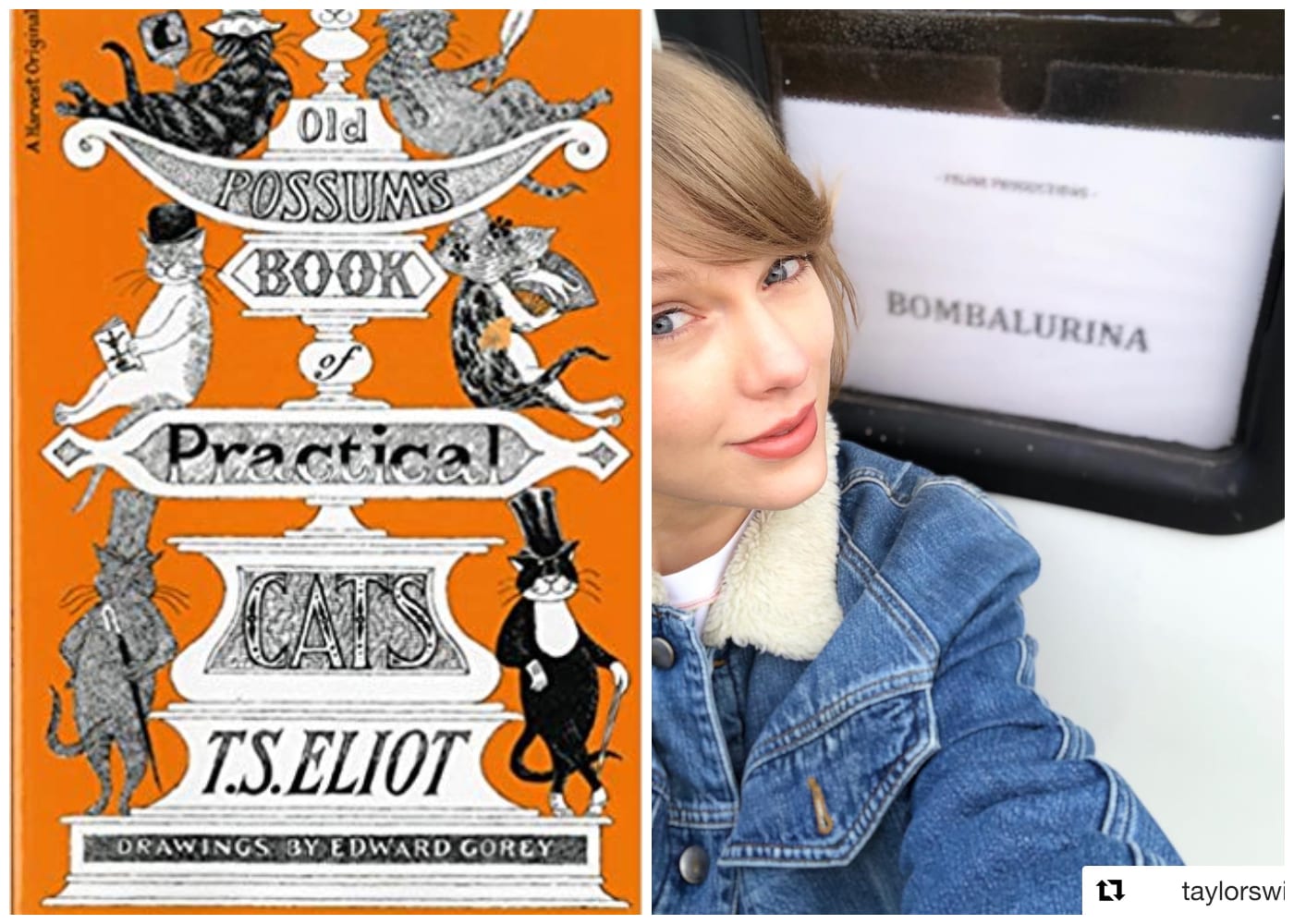books being made into films, cats | HoneyKids Asia