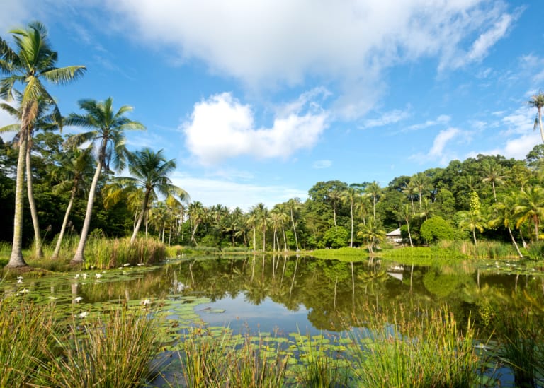 All you need to know: how to get to Pulau Ubin and what to do there