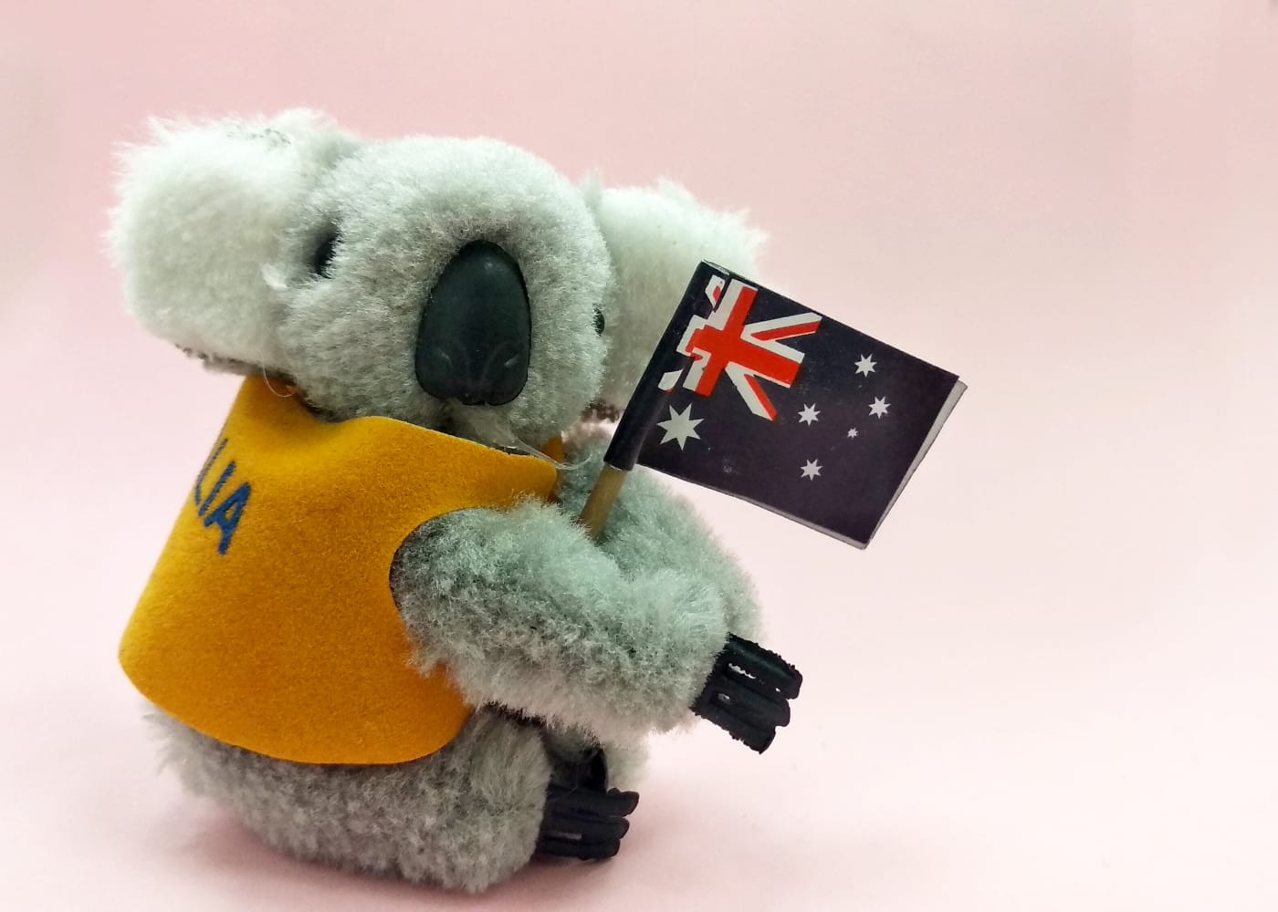 The lowdown on Down Under: Our pick of the 10 most family-friendly things to do in Sydney with kids