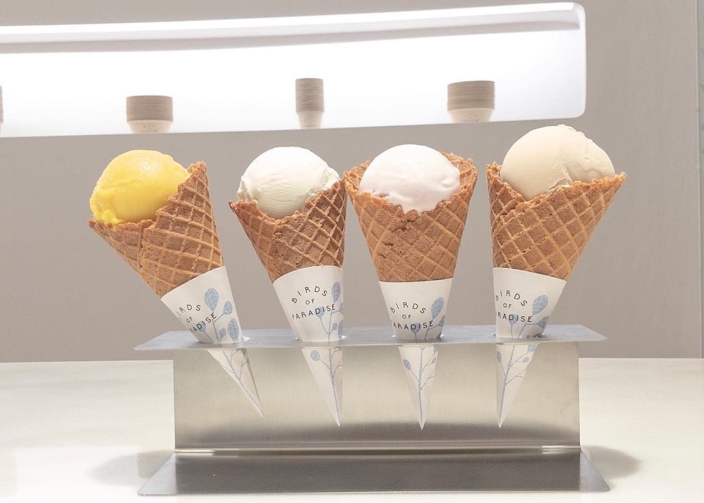 Best places in Singapore for ice cream, gelato, waffles and popsicles: Birds of Paradise on East Coast Road and at Jewel Changi