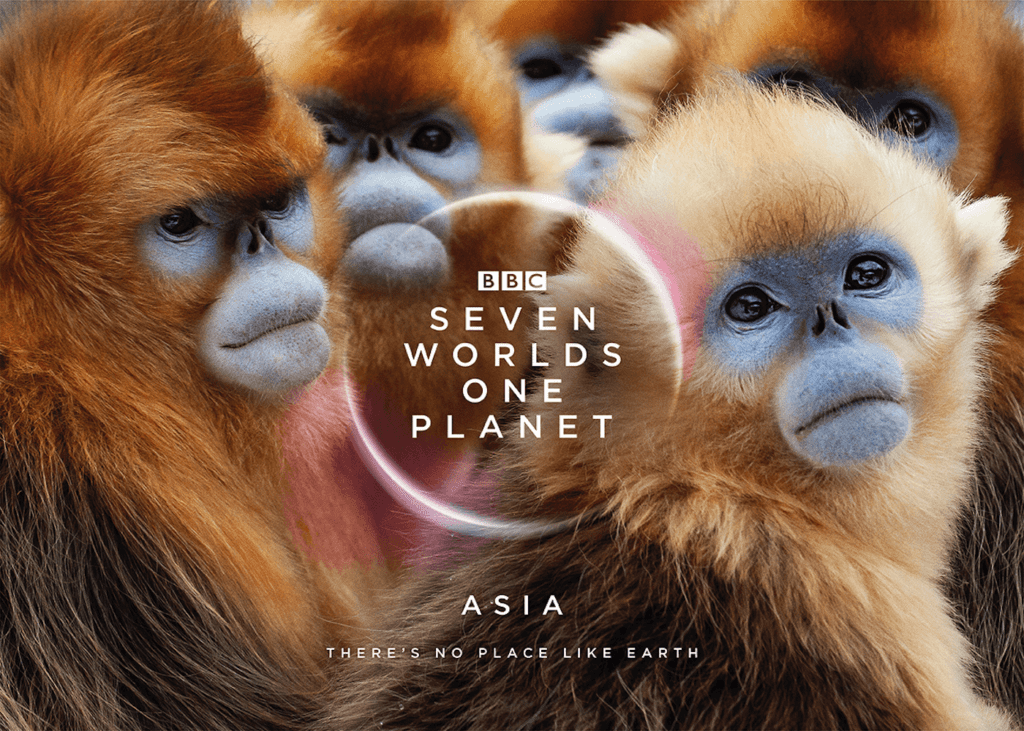 Seven Worlds, One Planet Asia Launch Event