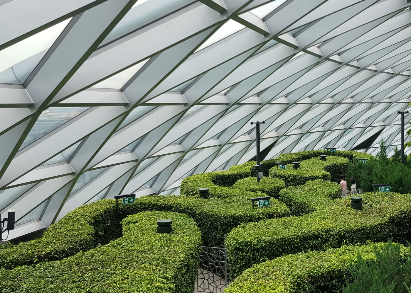 canopy park hedge maze