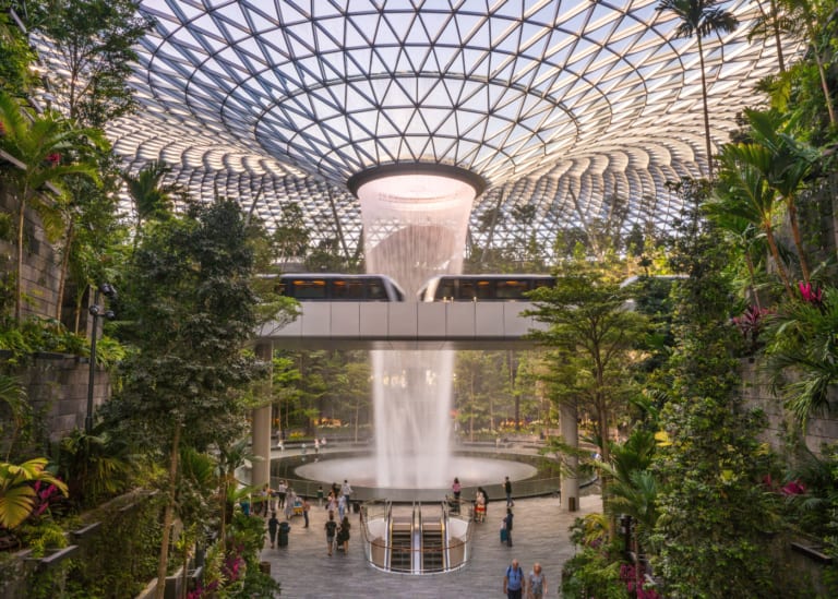 REOPENED! The ultimate parent’s guide to Canopy Park with kids