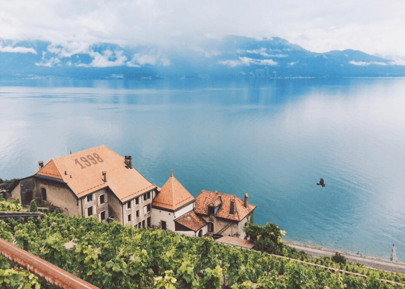 vineyards of lavaux family friendly hikes HERO