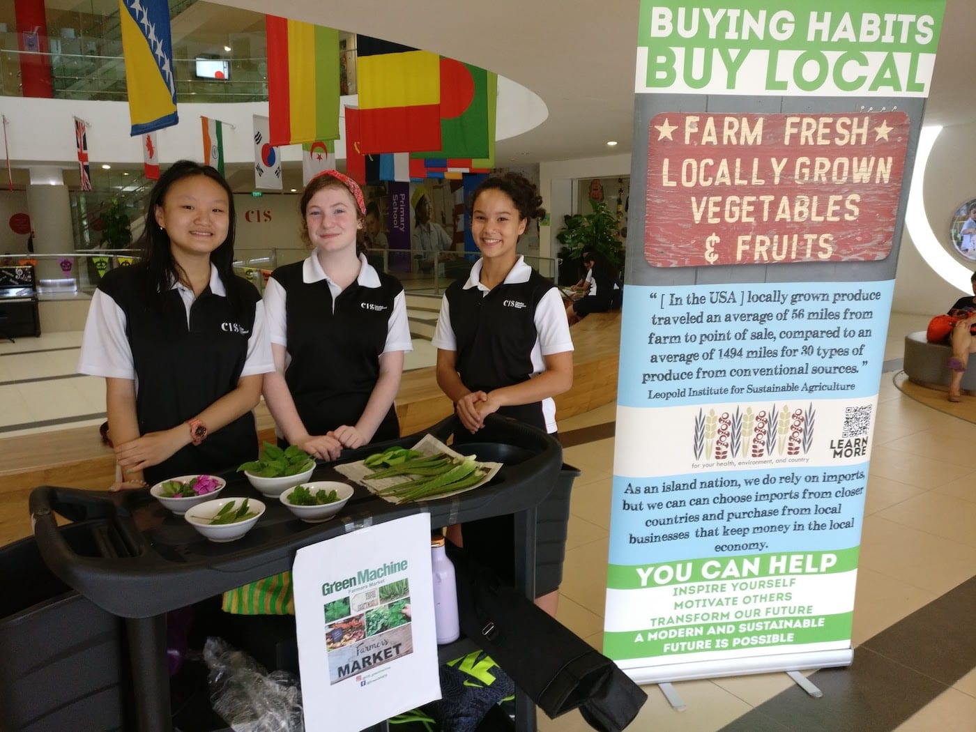 Are these the most sustainable international schools in Singapore?