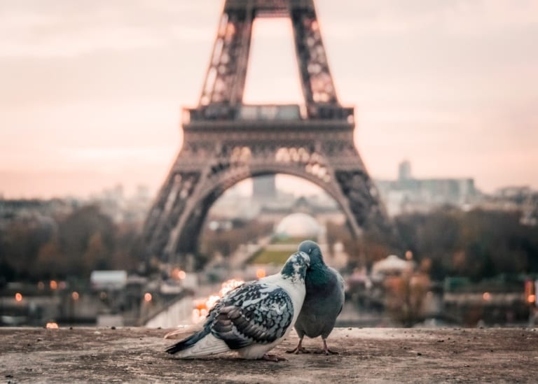 These real-life love stories will give you heart eyes…