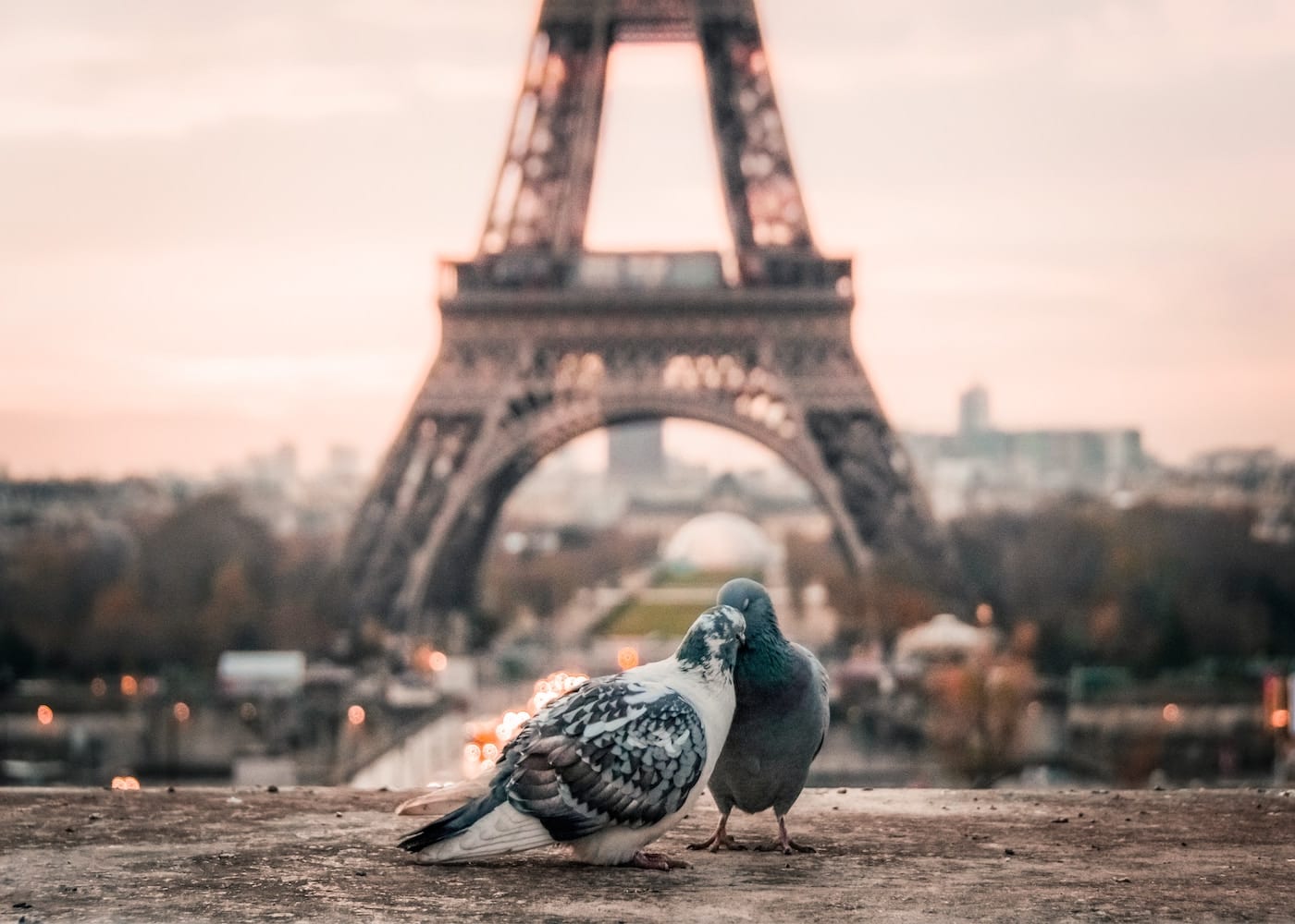 These real-life love stories will give you heart eyes…