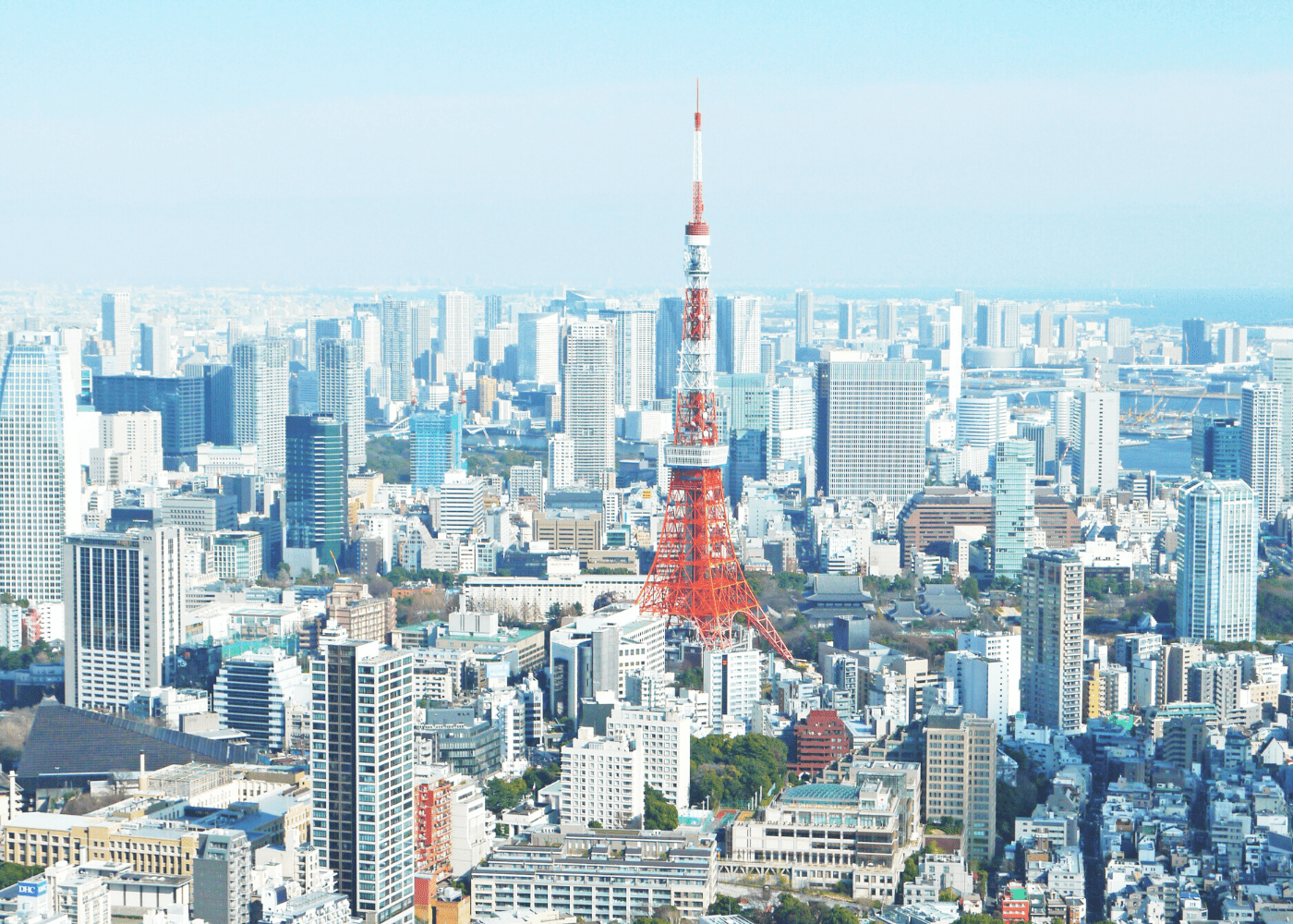 Konnichiwa! Explore Tokyo with this family-friendly guide