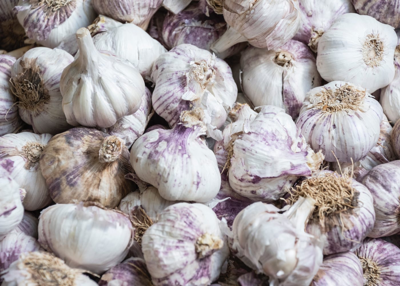 eating garlic prevents coronavirus | myths about COVID-19