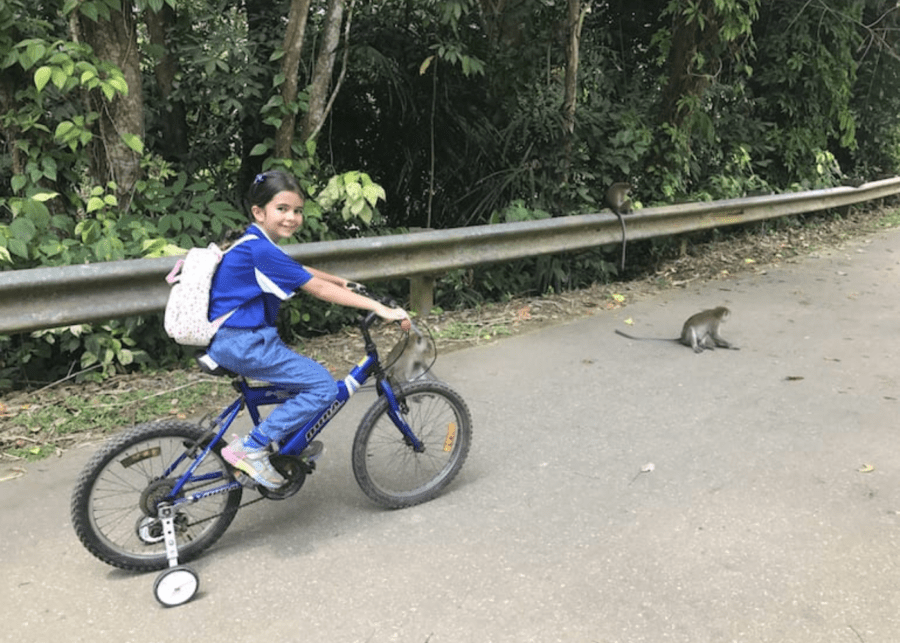pulau ubin kids cycling